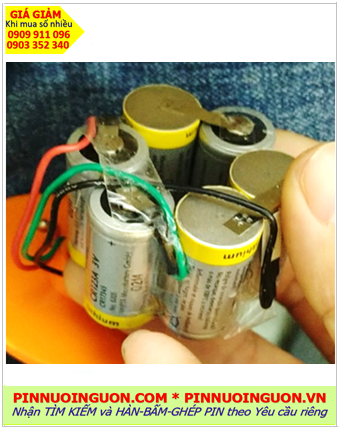 Pin Hàng hải Phao EPIRBE5, Sep-500, SART S4, SARTTRON 20S (12v-1300mAh Lithium ko sạc)